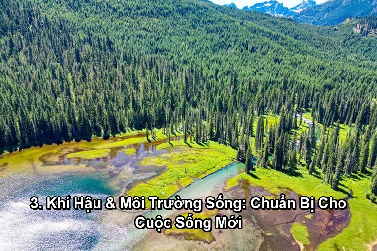 Ảnh minh họa: 3. Khí Hậu & Môi Trường Sống: Chuẩn Bị Cho Cuộc Sống Mới