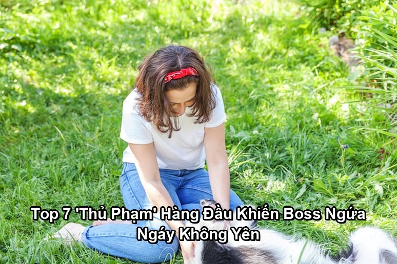 Ảnh minh họa: Top 7 'Thủ Phạm' Hàng Đầu Khiến Boss Ngứa Ngáy Không Yên