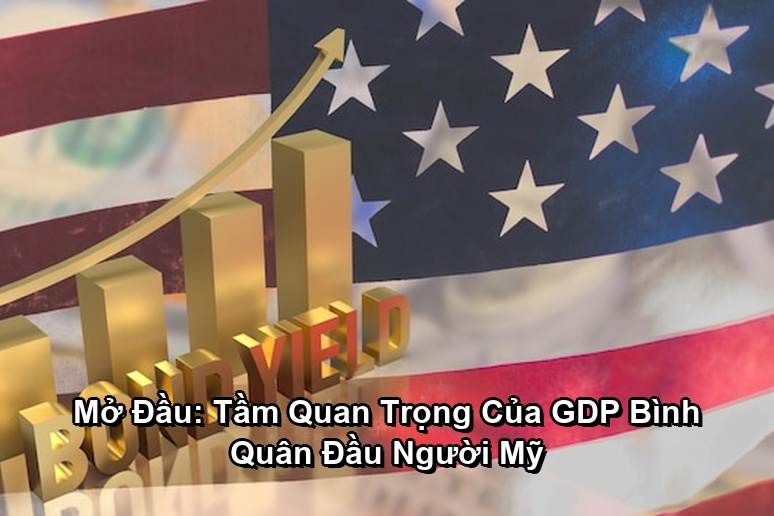 Ảnh minh họa: Mở Đầu: Tầm Quan Trọng Của GDP Bình Quân Đầu Người Mỹ