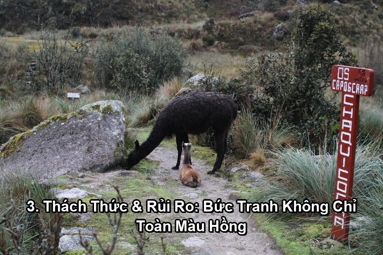 Ảnh minh họa: 3. Thách Thức & Rủi Ro: Bức Tranh Không Chỉ Toàn Màu Hồng