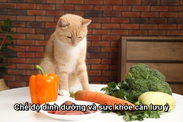 Chế độ dinh dưỡng và sức khỏe cần lưu ý