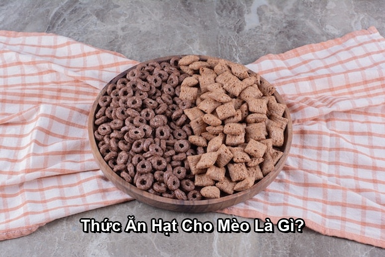 Thức Ăn Hạt Cho Mèo Là Gì?