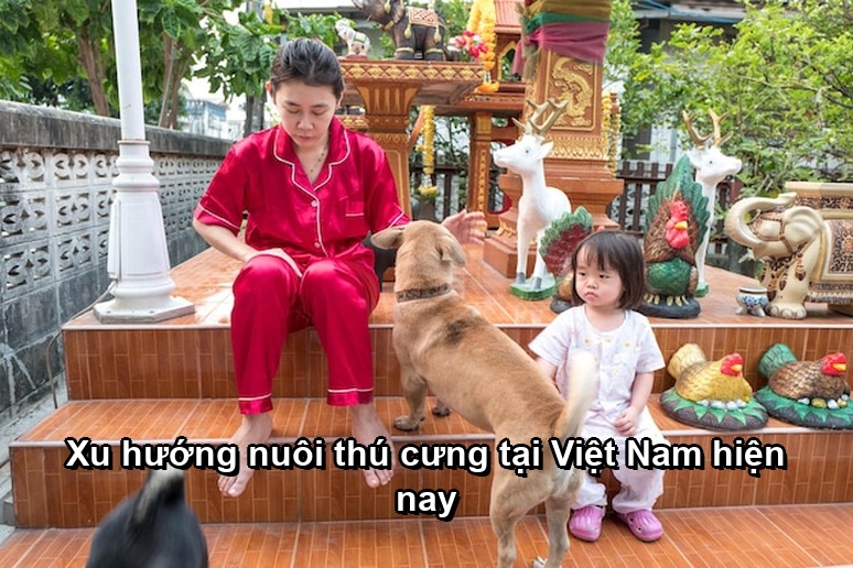 Xu hướng nuôi thú cưng tại Việt Nam hiện nay