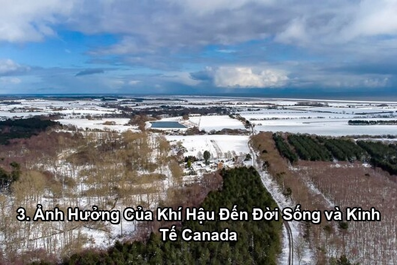 Ảnh minh họa: 3. Ảnh Hưởng Của Khí Hậu Đến Đời Sống và Kinh Tế Canada