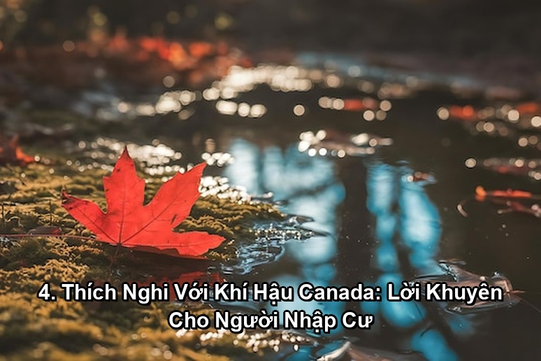 Ảnh minh họa: 4. Thích Nghi Với Khí Hậu Canada: Lời Khuyên Cho Người Nhập Cư