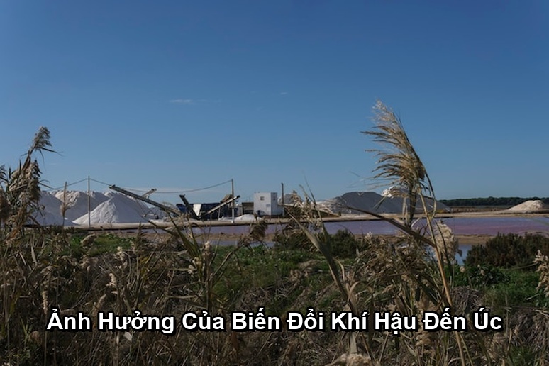 Ảnh minh họa: Ảnh Hưởng Của Biến Đổi Khí Hậu Đến Úc