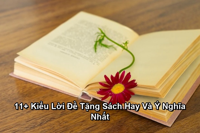 Ảnh minh họa: 11+ Kiểu Lời Đề Tặng Sách Hay Và Ý Nghĩa Nhất