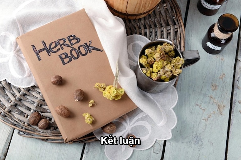 Ảnh minh họa: Kết luận