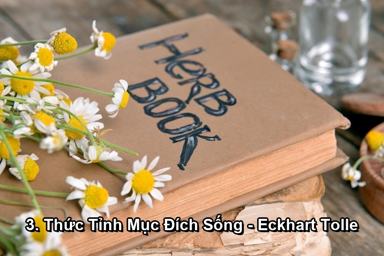 Ảnh minh họa: 3. Thức Tỉnh Mục Đích Sống - Eckhart Tolle