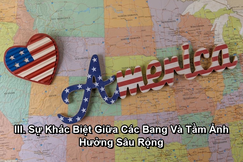 Ảnh minh họa: III. Sự Khác Biệt Giữa Các Bang Và Tầm Ảnh Hưởng Sâu Rộng