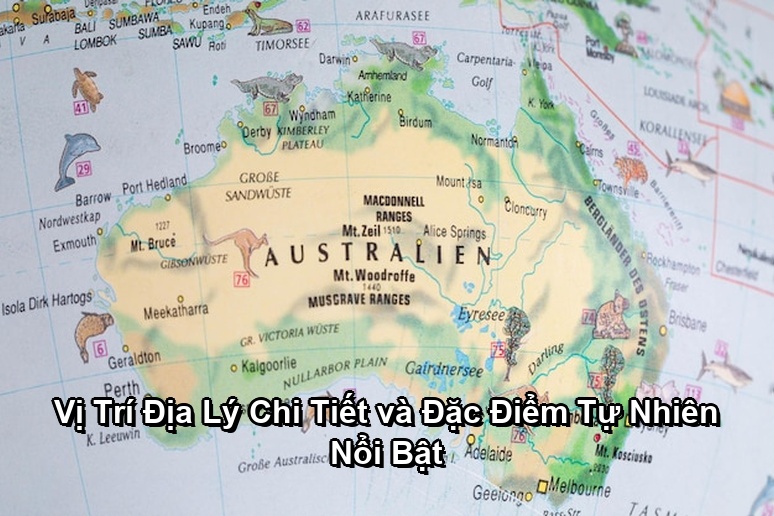 Ảnh minh họa: Vị Trí Địa Lý Chi Tiết và Đặc Điểm Tự Nhiên Nổi Bật
