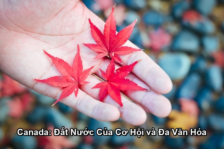 Ảnh minh họa: Canada: Đất Nước Của Cơ Hội và Đa Văn Hóa