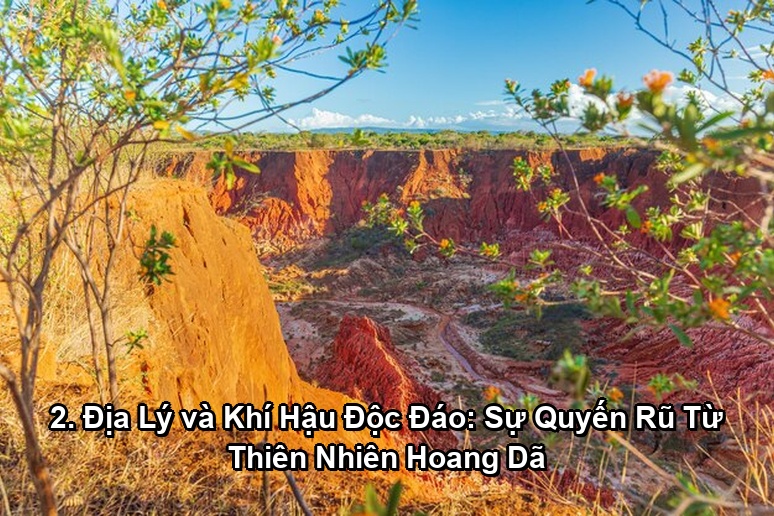 Ảnh minh họa: 2. Địa Lý và Khí Hậu Độc Đáo: Sự Quyến Rũ Từ Thiên Nhiên Hoang Dã