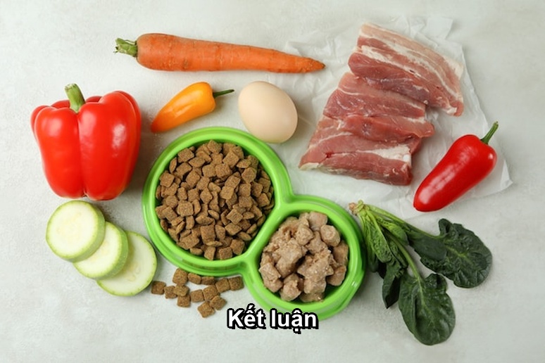 Ảnh minh họa: Kết luận