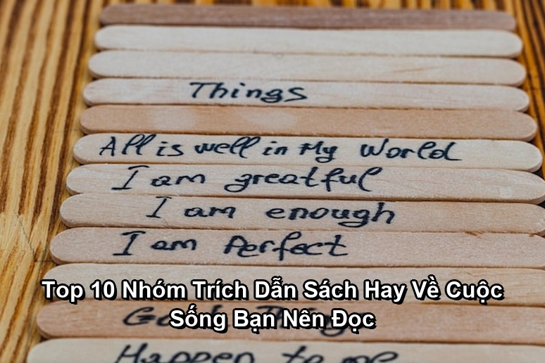 Ảnh minh họa: Top 10 Nhóm Trích Dẫn Sách Hay Về Cuộc Sống Bạn Nên Đọc